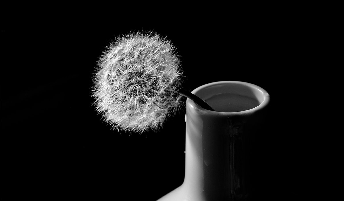 When Photography Becomes a Poem