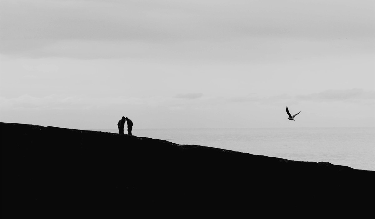 What the Camera Sees When I Stop